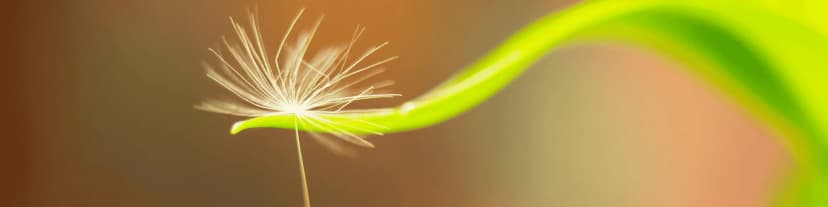 Need Support? Find AA Groups San Diego Near You