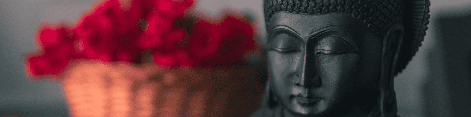 aa meetings santa cruz california​