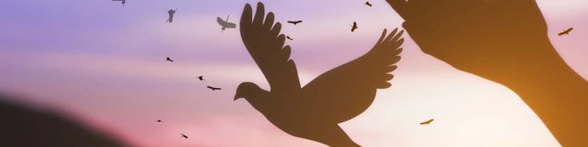 How AA Books Inspire Hope During Addiction Recovery