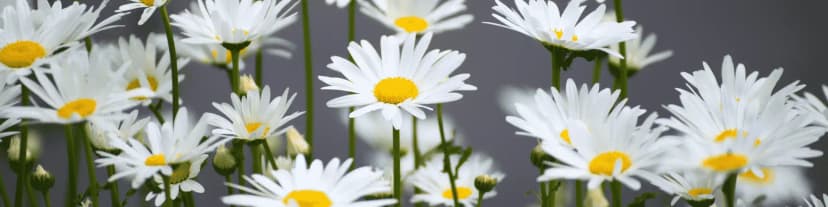 AA Close to Me Today: The Day I Chose Recovery