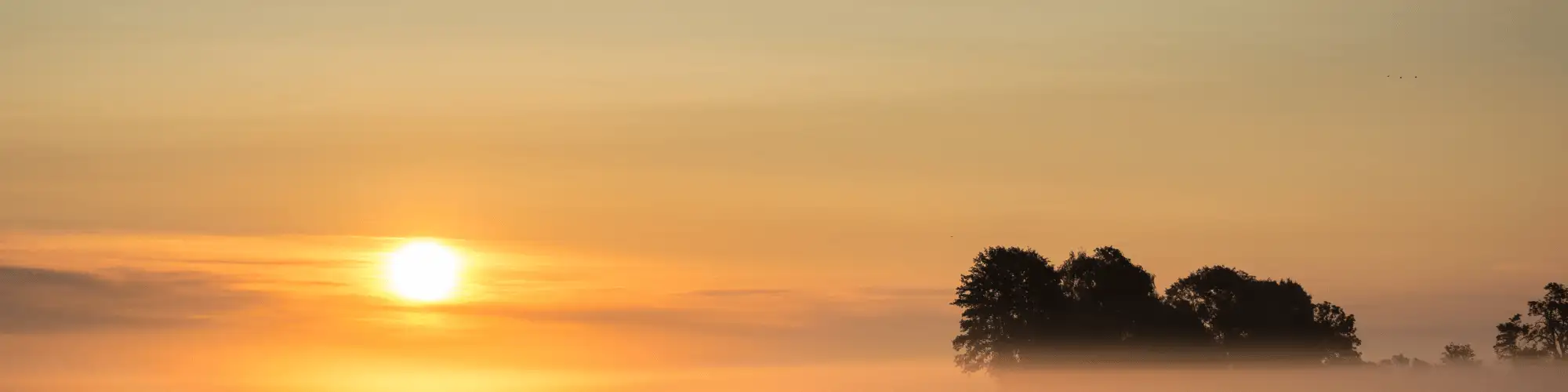 AA Close to Me Tonight: The Strength of a Sober Community AA close to me tonight offers support, connection, and guidance