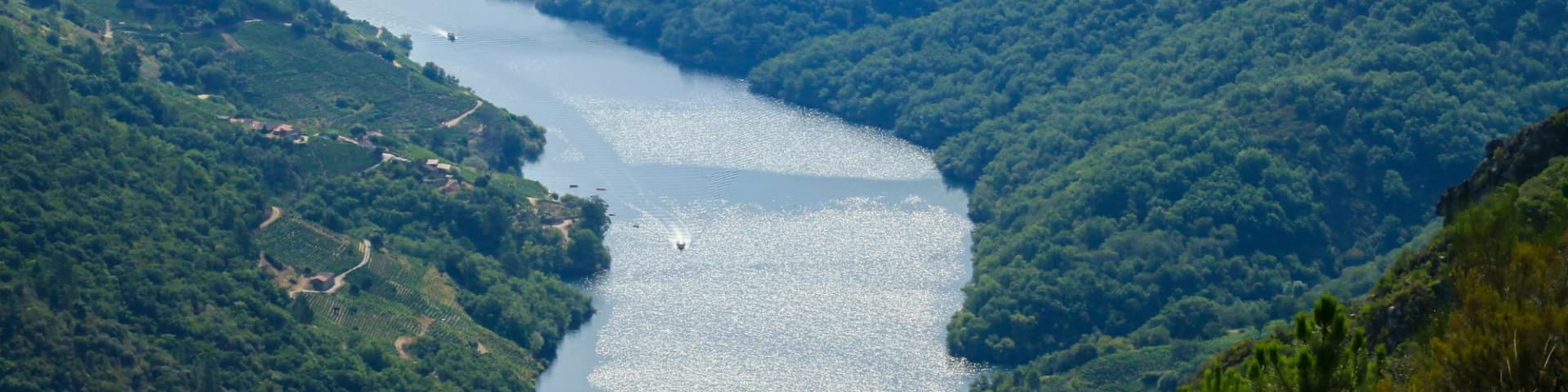 AA Daily Readings 21/11/25: Essential Insights for Lasting Wellness AA Daily Readings 21/11/25: Essential Insights for Lasting Wellness