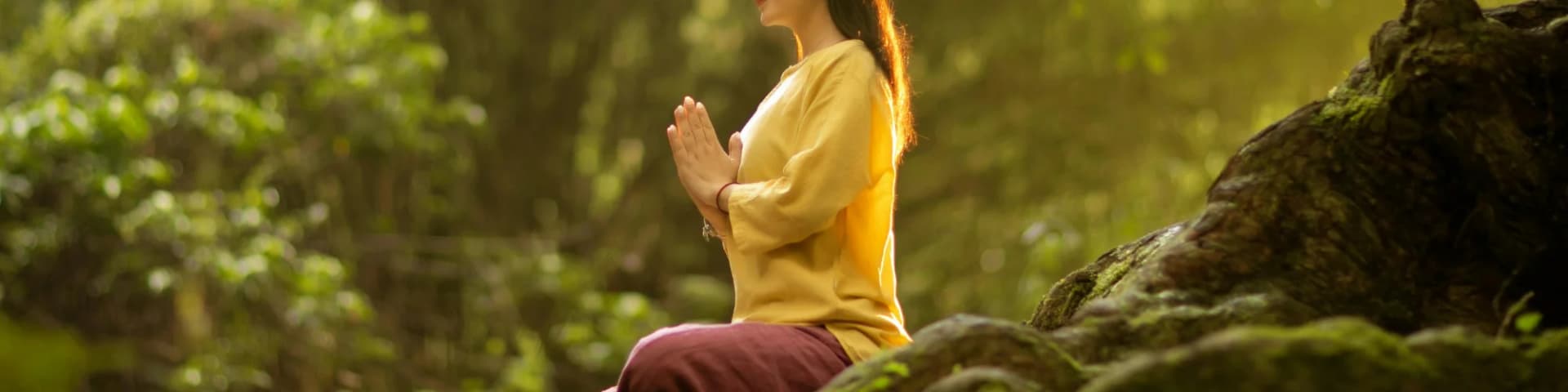 AA Meetings Forest Hills Schedule for Your Healing Journey Find Hope in the AA Meetings Forest Hills Schedule Today