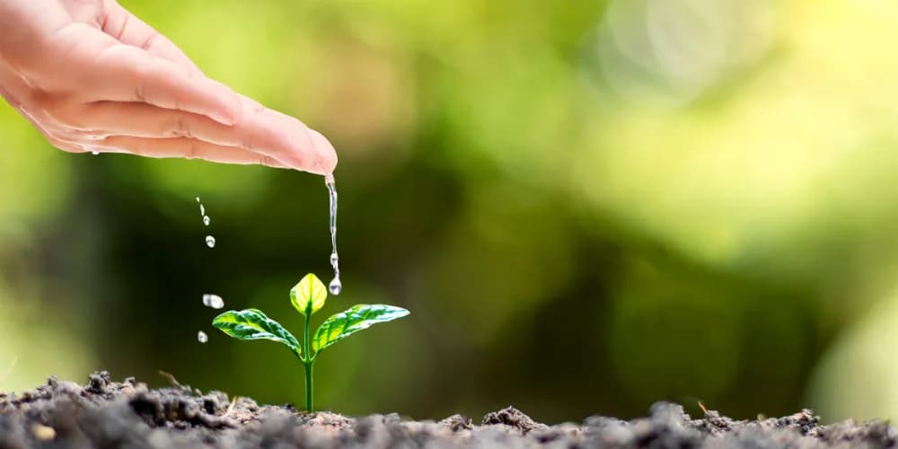 AA Meetings Louisville KY This Week for a New Beginning New Beginnings Await at AA Meetings Louisville KY This Week