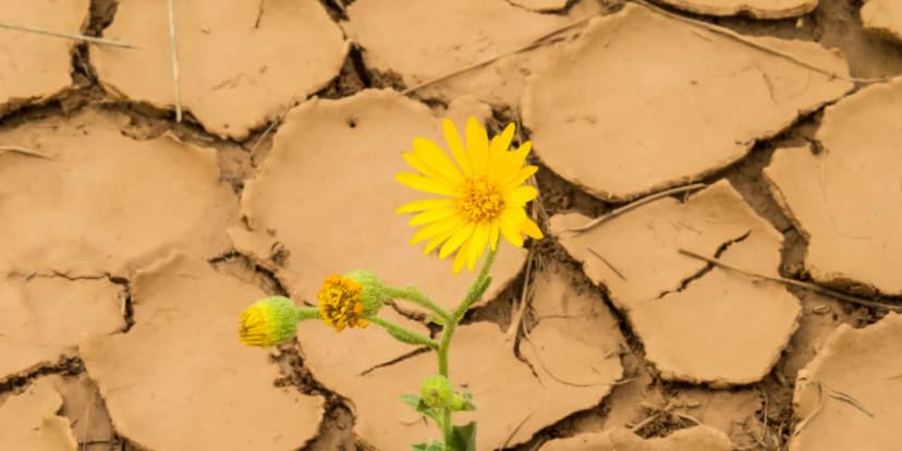 Choosing Hope Over Alcohol: AA Meetings Near Me Guide You