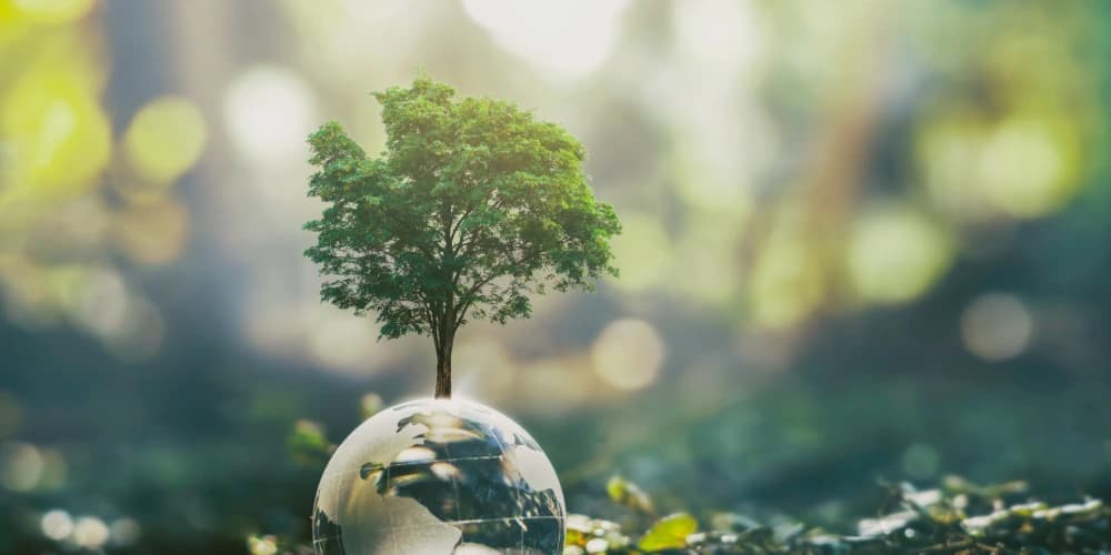 AA NY Intergroup Today Bringing Hope for an Alcohol-Free Future A Future Without Alcohol Starts with AA NY Intergroup Today