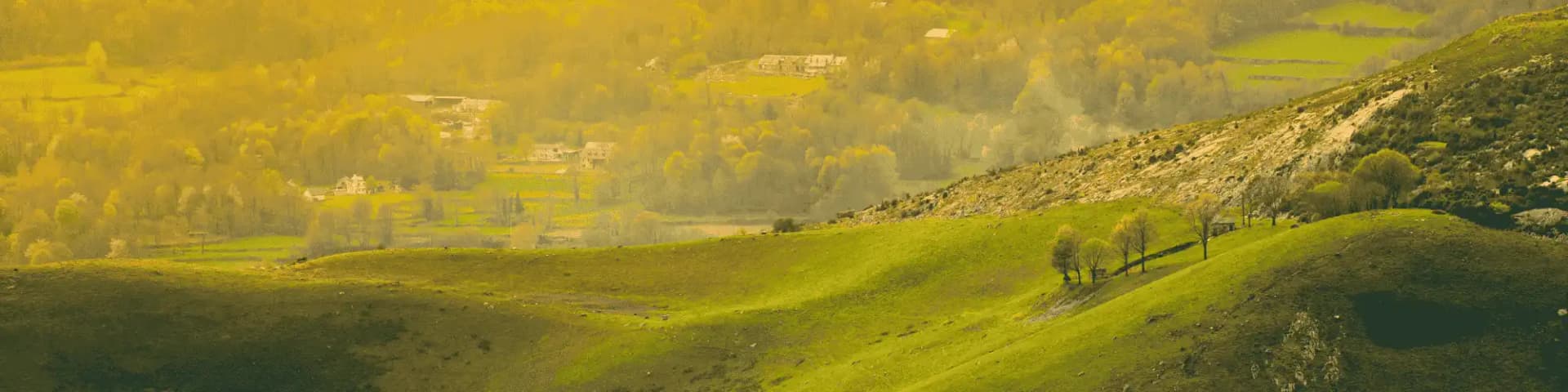 AA Near Me Today: A Safe Place to Start Over Find hope and support with AA near me today