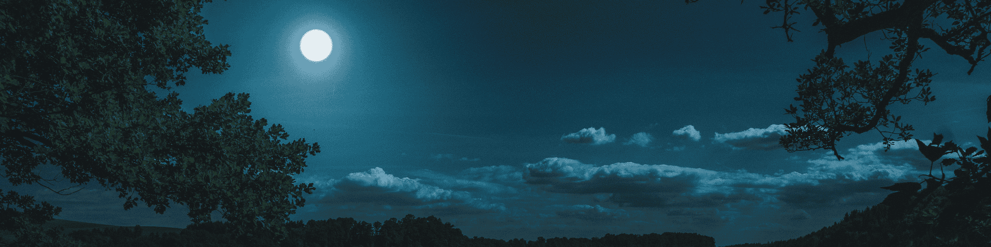 AA meetings Buffalo NY schedule AA meetings Buffalo NY schedule