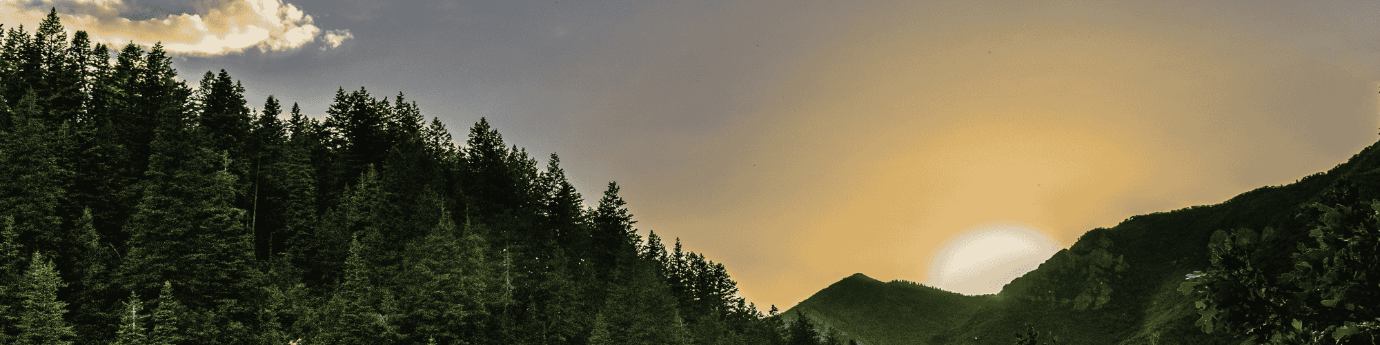 AA meetings Oahu near me AA meetings Oahu near me