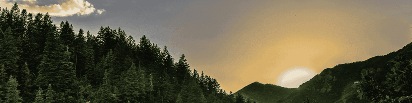 The Role of AA meetings in Long-Term Sobriety: How to Keep Growing