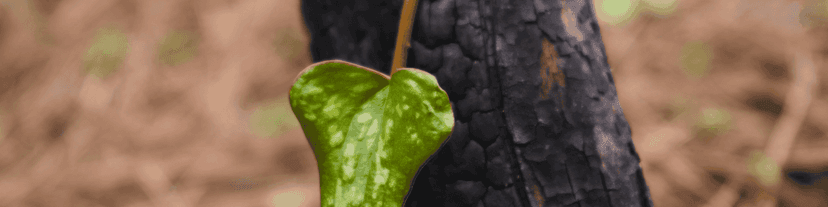 From Relapse to Recovery: How AA Helped Me Get Back on Track