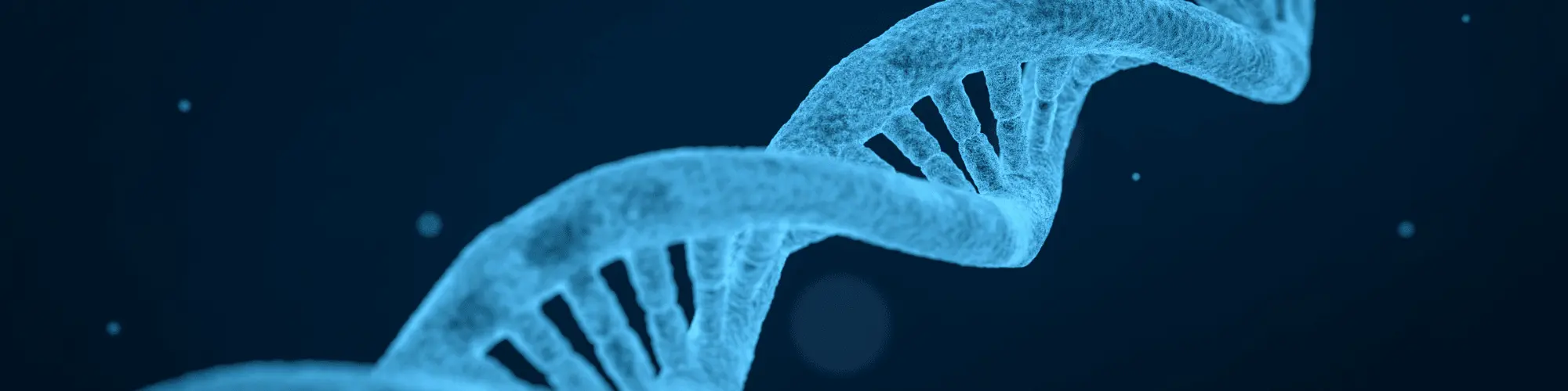 Access AA Meetings San Diego: Alcohol’s Biological Toll Learn about the biological toll alcohol takes on the body and brain