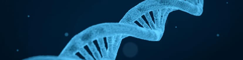 Access AA Meetings San Diego: Alcohol’s Biological Toll