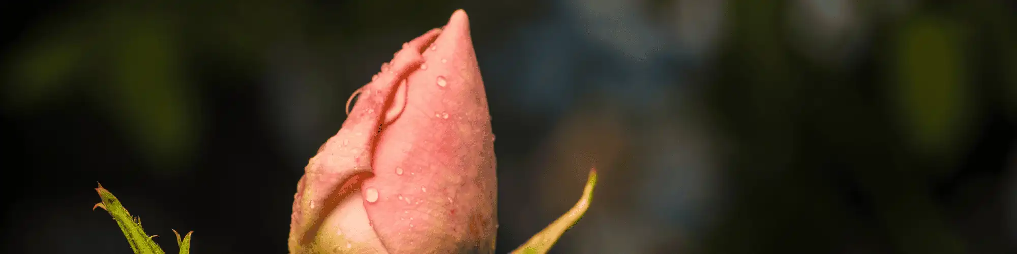 Access Alcoholics Anonymous Near Me and Start Fresh Discover how to access Alcoholics Anonymous near me