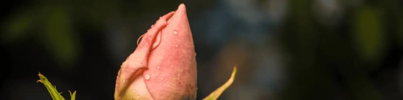 Access Alcoholics Anonymous Near Me and Start Fresh