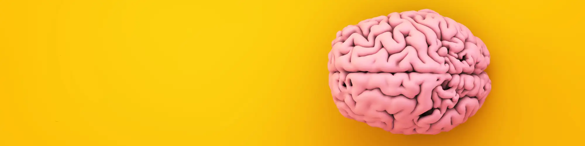 Alcohol Addiction’s Effects on Cognitive and Emotional Health A photo of a brain