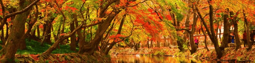 Alcohol-Free Coping Skills for Tough Situations: Try Portland AA