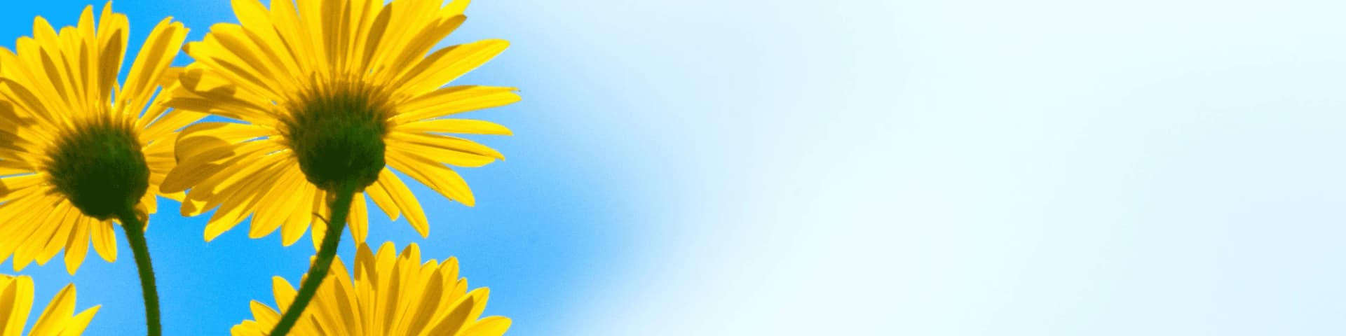 Alcohol Recovery Tips from AA Meetings San Jose Nearby Discover practical tips from AA meetings San Jose nearby to stay sober