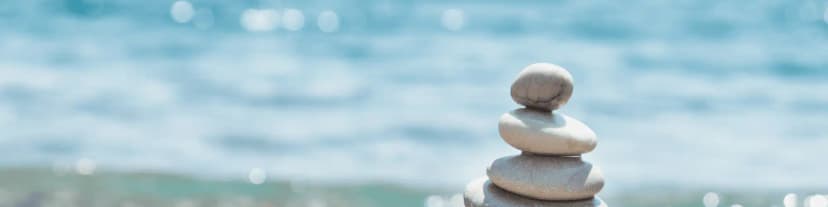 Alcoholism and Stress Response: Alcoholics Anonymous Seattle