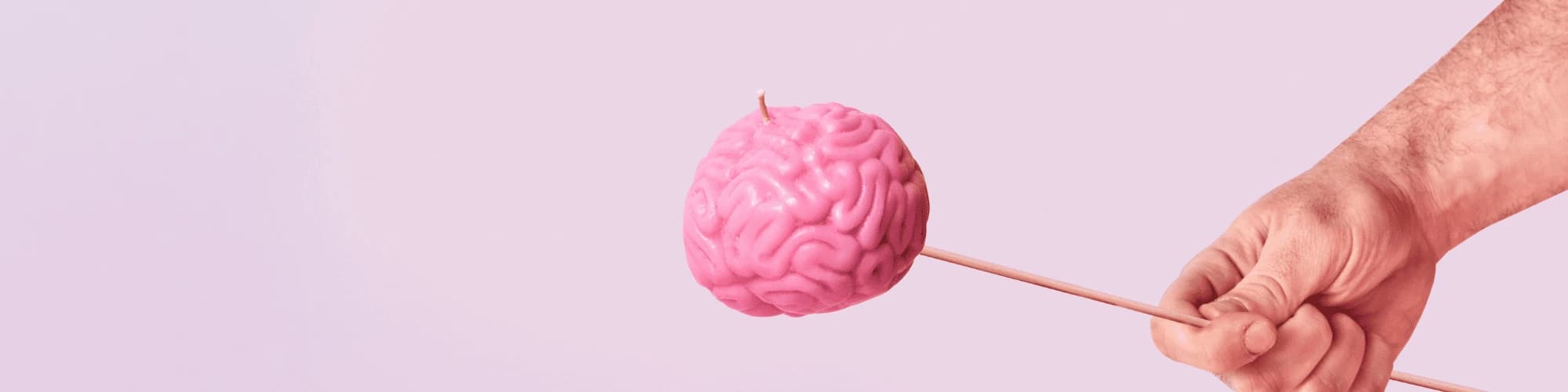 Alcoholism and the Brain: Neurological Damage and Recovery A brain on a stick