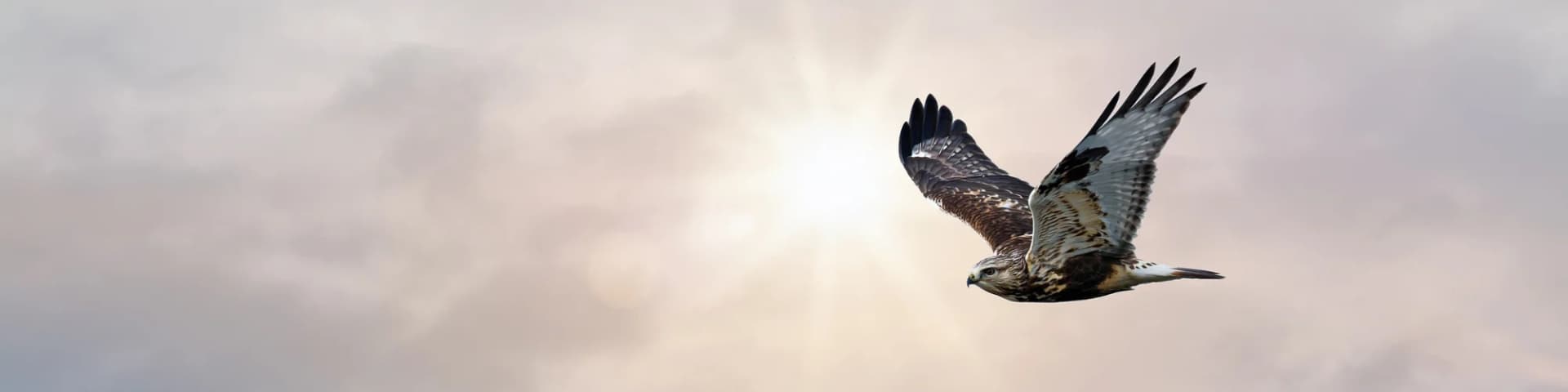 Break Free From Emotional Pain With Just For Today AA 25/11/25 Break Free From Emotional Pain With Just For Today AA 25/11/25