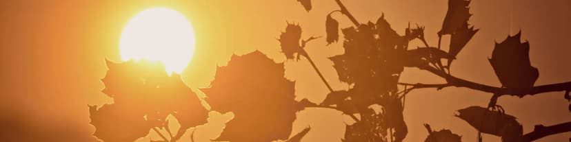 Break Free from Alcohol: Find AA Near Me Now