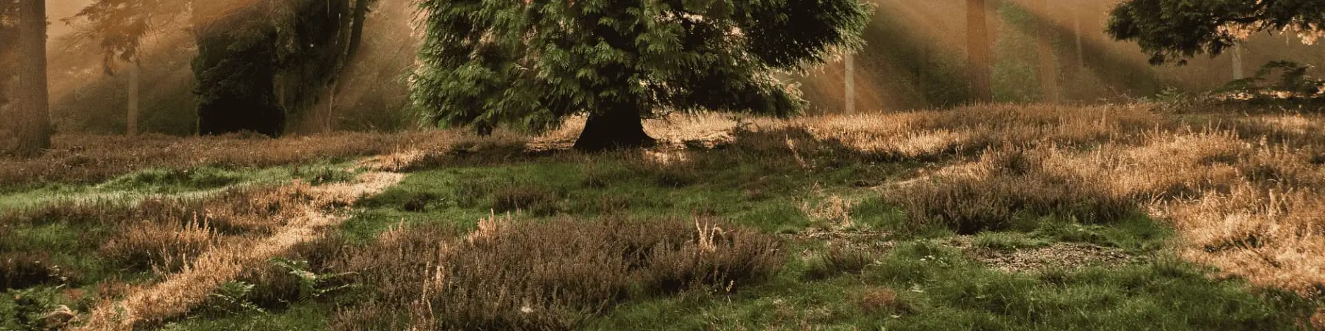 Breaking Alcoholism Stigma with AA Meetings in Orange County Break the stigma of alcoholism and discover the truth about recovery