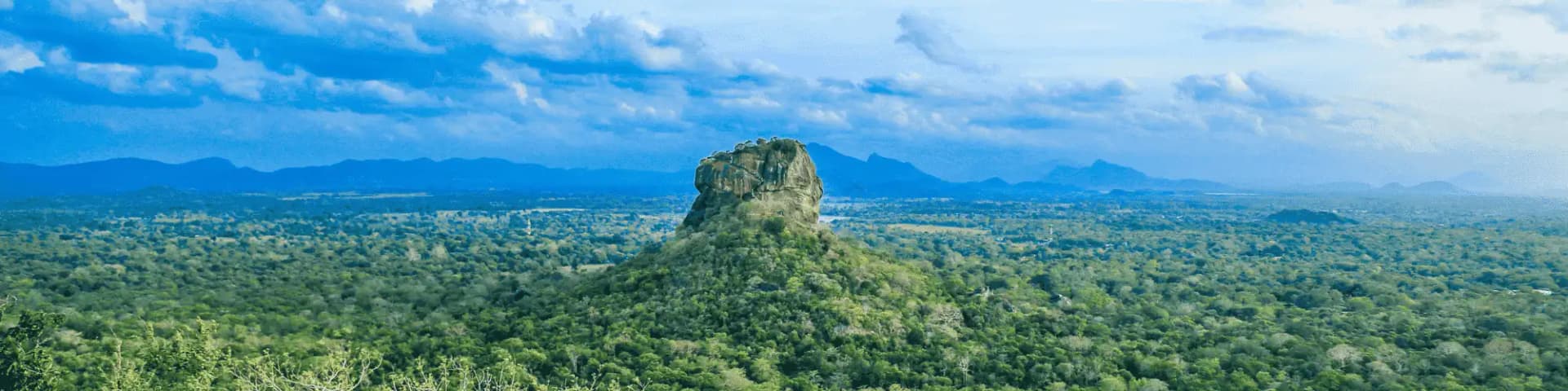 Breaking Free from Alcohol: Seek AA Meetings Chicago for Help Breaking free from alcohol isn’t easy, but seeking AA meetings in Chicago offers hope, support, and recovery