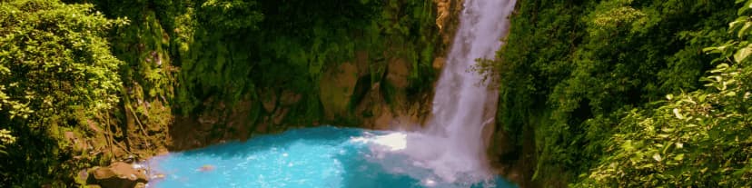 Choose AA meetings Orange County CA for Group Support and Healing