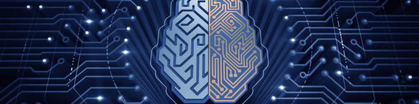 Choose the 12 Steps of Recovery: Reversing Alcohol’s Brain Damage