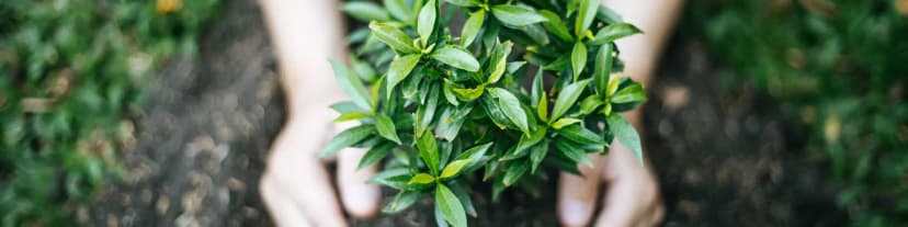 Courage to Change: Discover AA Meetings Suffolk County