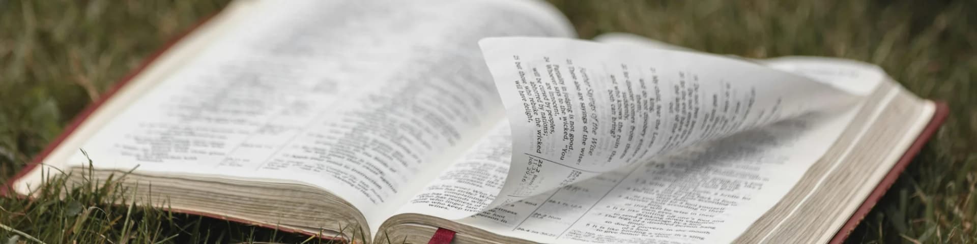 Cultivate Wellness With AA Daily Reflections Meditation 04/12/25 Cultivate Wellness With AA Daily Reflections Meditation 04/12/25