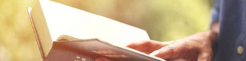 AA Daily Readings 12/18/25: Daily Inspiration for Sobriety