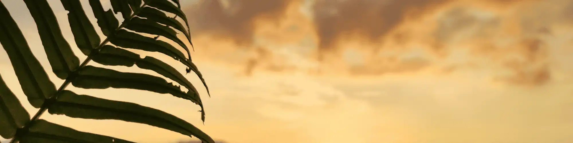 Debunking Alcohol Abuse Myths You Need to Stop Believing Discover the truth behind alcohol addiction, AA meetings, and find the best NA meetings San Diego for support