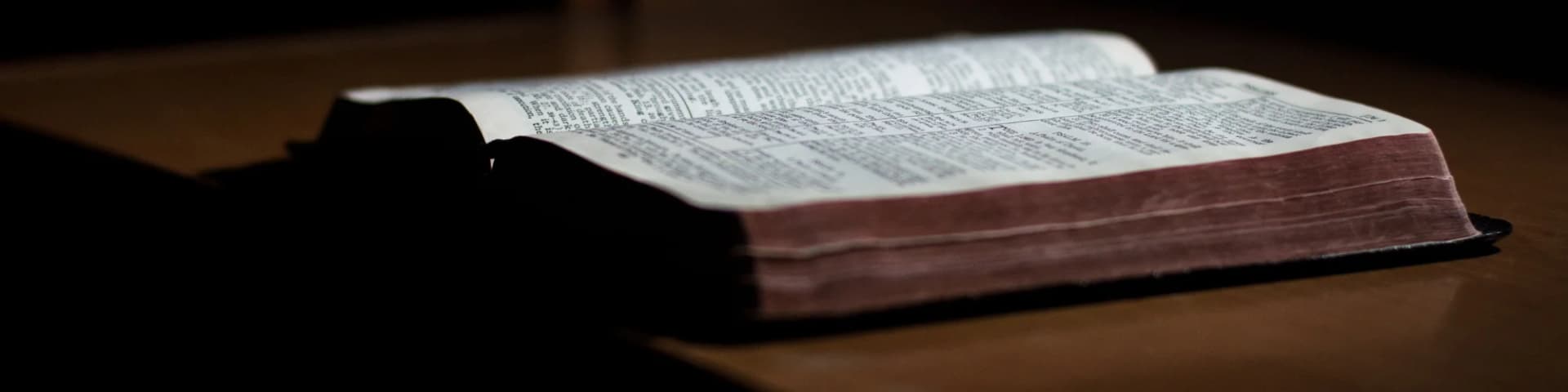 Delve Into the Wisdom of AA Daily Reflections Meditation 03/12/25 Delve Into the Wisdom of AA Daily Reflections Meditation 03/12/25