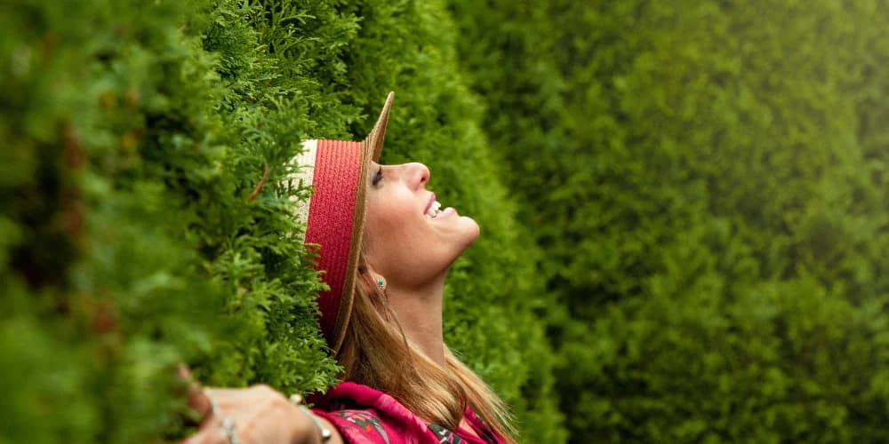 Discover A&A Near Me and Truly Thrive in Recovery Discover A&A Near Me to Start Thriving Today