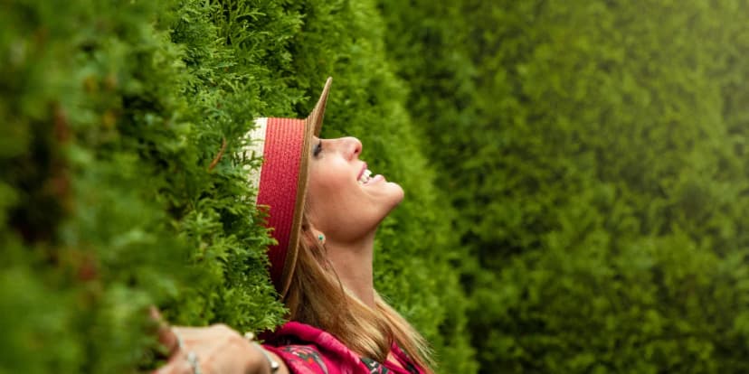 A&A Near Me: Thriving in Recovery, Not Just Surviving