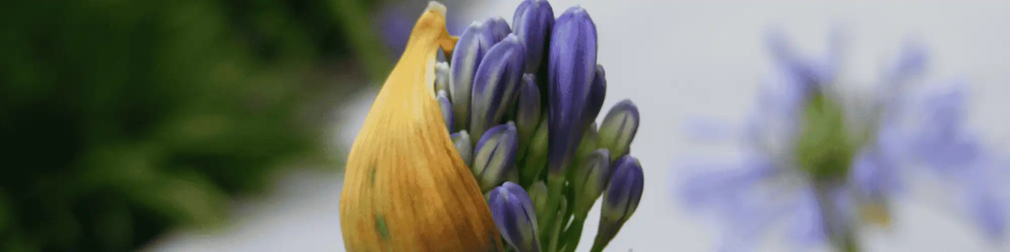 Discover AA Traditions and Transform Your Mental Health Discover AA traditions and see how they support mental health