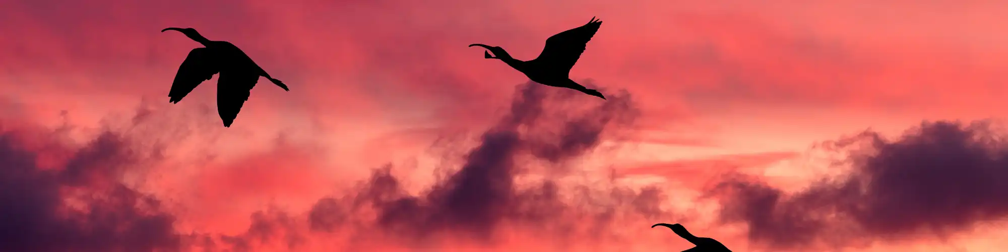 Ditch the Bottle: Tap into AA Near Me for Support Ditch alcohol for good and tap into AA near me.