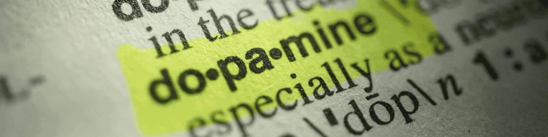 Dopamine and Alcoholism: Attend Smithtown Serenity AA Learn how dopamine dysregulation drives alcohol addiction