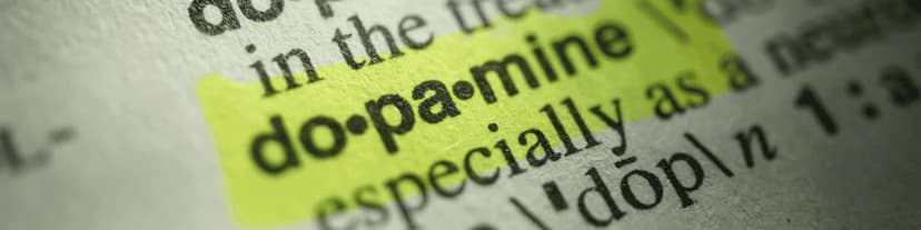 Dopamine and Alcoholism: Attend Smithtown Serenity AA