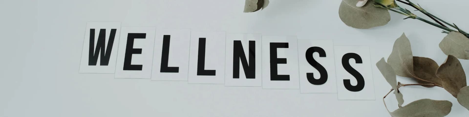 Ease Your Mind and Spirit with Help from Stay Sober 26/11/25 Ease Your Mind and Spirit with Help from Stay Sober 26/11/25