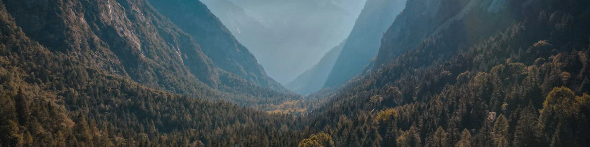 Embrace Positivity With Guidance From AA Daily Readings 24/11/25 Embrace Positivity With Guidance From AA Daily Readings 24/11/25