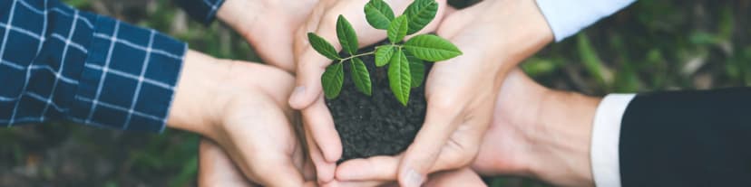 Discover Valuable Lessons From Just for Today AA 12/29/25