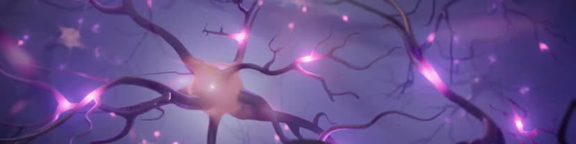 Find AA Groups Chicago: Alcoholism’s Impact on Neural Circuits