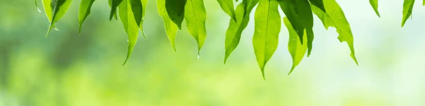 Find AA Meetings Manhattan & Stay Motivated in Recovery