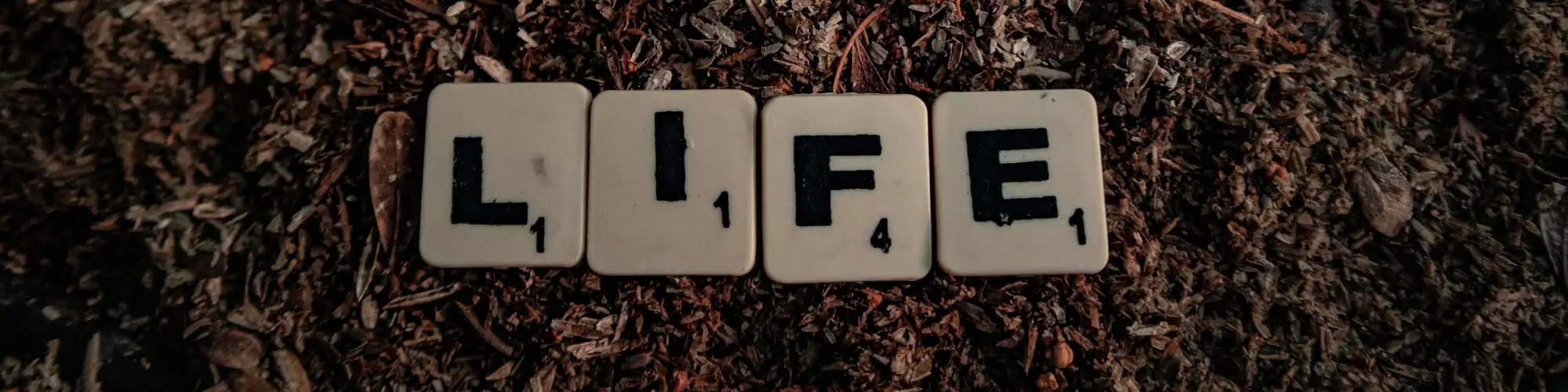 Find AA Meetings Phoenix and Reclaim Your Life from Alcohol Find AA meetings Phoenix and take the first step toward recovery.