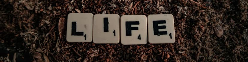 Find AA Meetings Phoenix and Reclaim Your Life from Alcohol