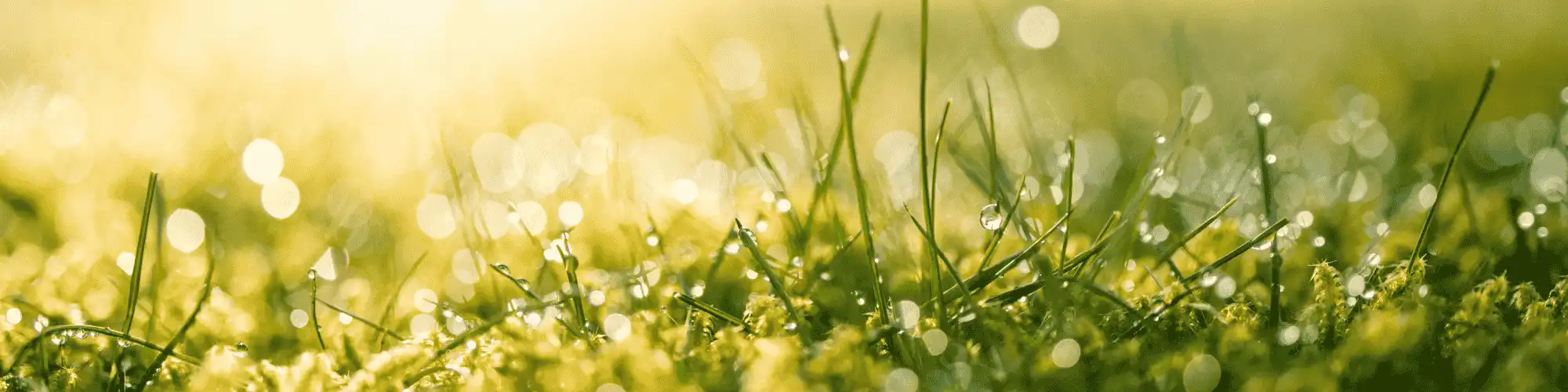 Find AA Near Me & Join a Supportive Sobriety Group Find AA near me and connect with a supportive sobriety group