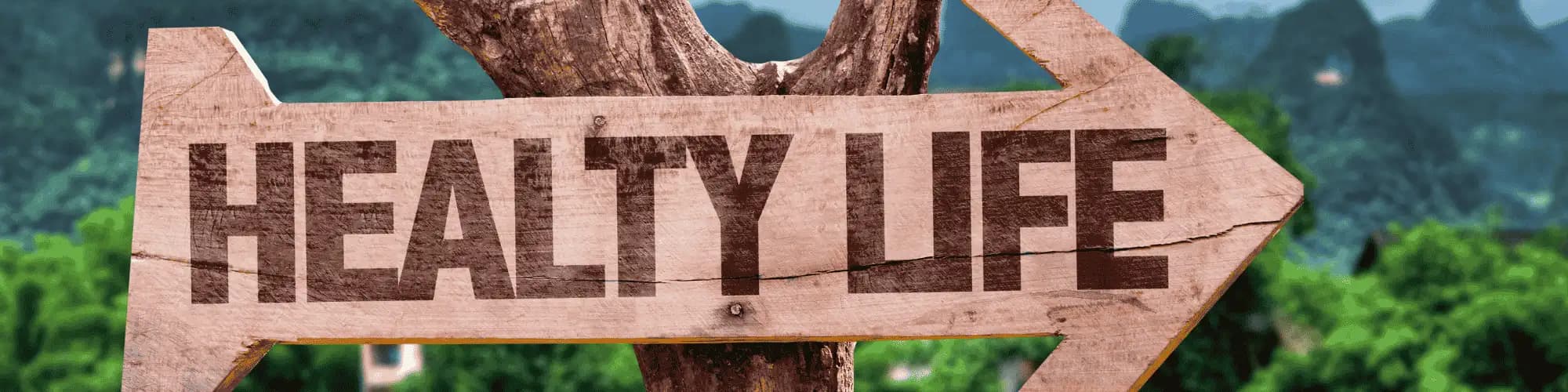 Find AA meetings San Diego for a Healthier, Sober Life A sign leading to a healthy life